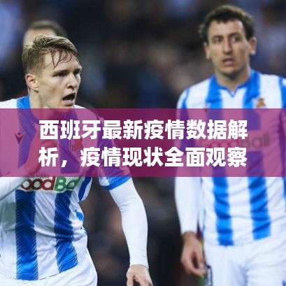 西班牙最新疫情数据解析，疫情现状全面观察