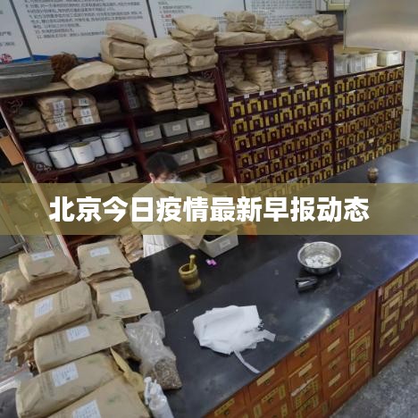 北京今日疫情最新早报动态