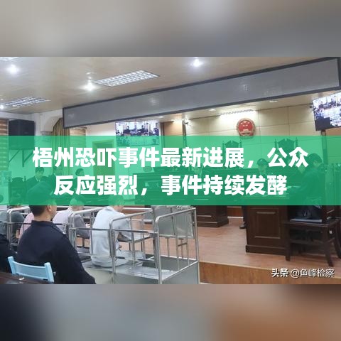梧州恐吓事件最新进展，公众反应强烈，事件持续发酵