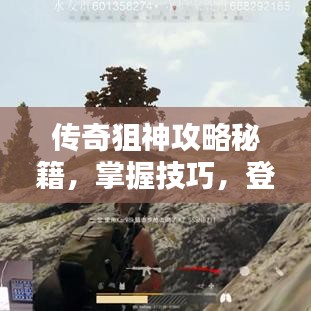 传奇狙神攻略秘籍，掌握技巧，登顶狙击巅峰！