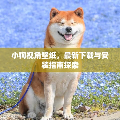 小狗视角壁纸，最新下载与安装指南探索