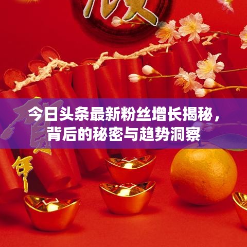 今日头条最新粉丝增长揭秘，背后的秘密与趋势洞察