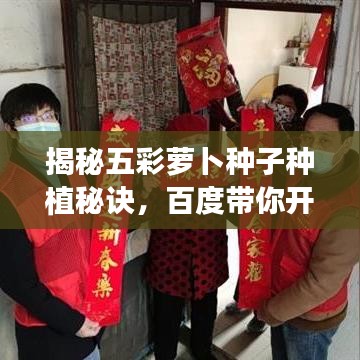 揭秘五彩萝卜种子种植秘诀，百度带你开启绿色生活之旅！