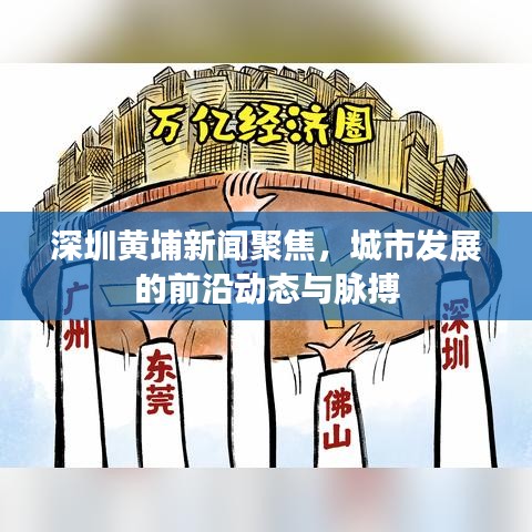 深圳黄埔新闻聚焦，城市发展的前沿动态与脉搏