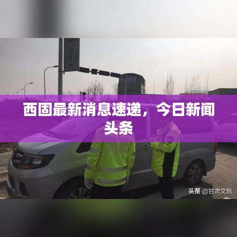 西固最新消息速递，今日新闻头条