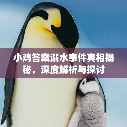 小鸡答案溺水事件真相揭秘，深度解析与探讨