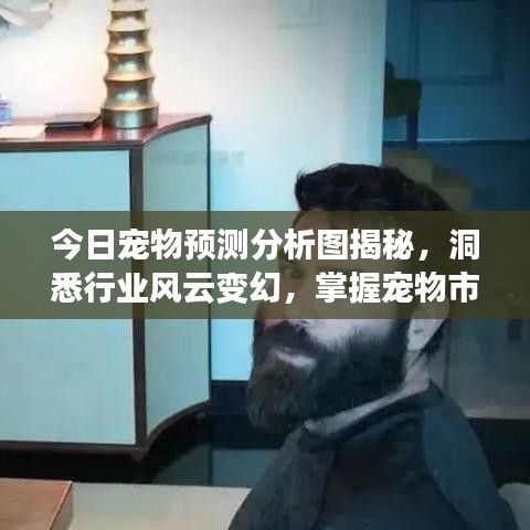 今日宠物预测分析图揭秘，洞悉行业风云变幻，掌握宠物市场最新动态