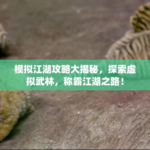 模拟江湖攻略大揭秘，探索虚拟武林，称霸江湖之路！