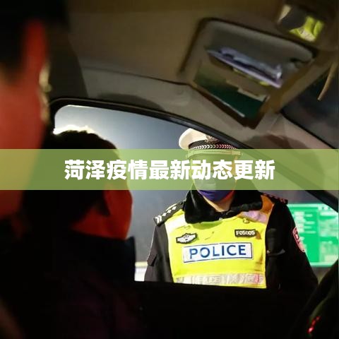 菏泽疫情最新动态更新