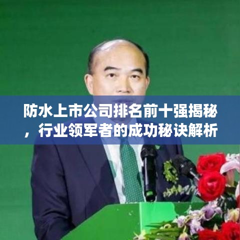 防水上市公司排名前十强揭秘，行业领军者的成功秘诀解析