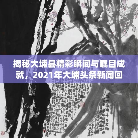 揭秘大埔县精彩瞬间与瞩目成就，2021年大埔头条新闻回顾