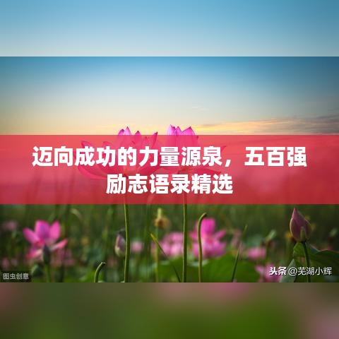 迈向成功的力量源泉，五百强励志语录精选