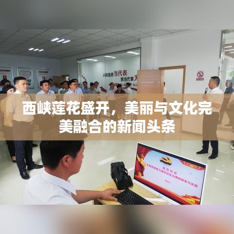 西峡莲花盛开，美丽与文化完美融合的新闻头条