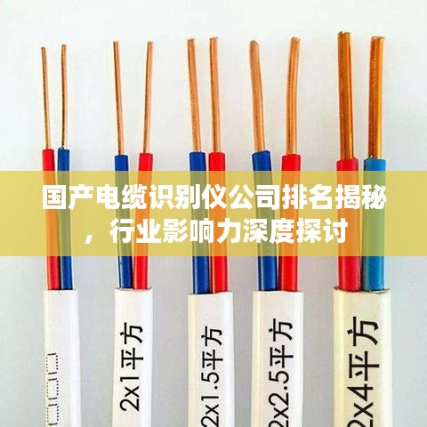 国产电缆识别仪公司排名揭秘，行业影响力深度探讨