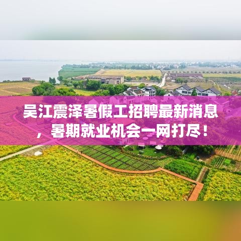 吴江震泽暑假工招聘最新消息，暑期就业机会一网打尽！