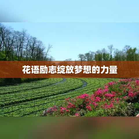 花语励志绽放梦想的力量