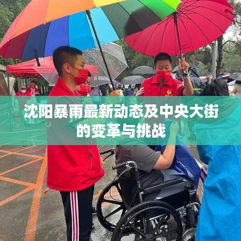沈阳暴雨最新动态及中央大街的变革与挑战