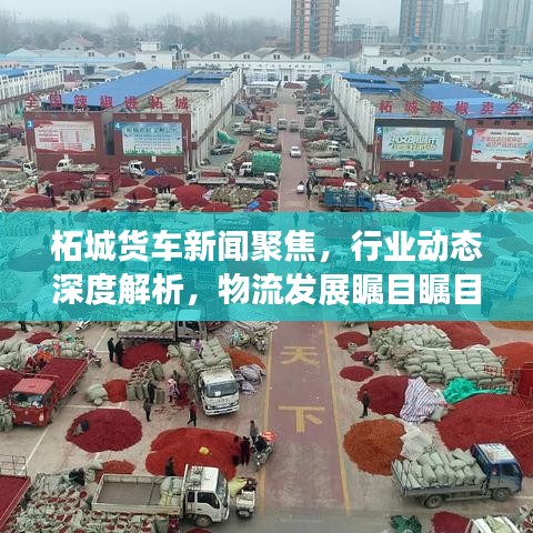 柘城货车新闻聚焦，行业动态深度解析，物流发展瞩目瞩目