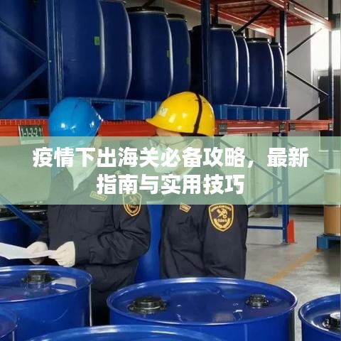 疫情下出海关必备攻略，最新指南与实用技巧