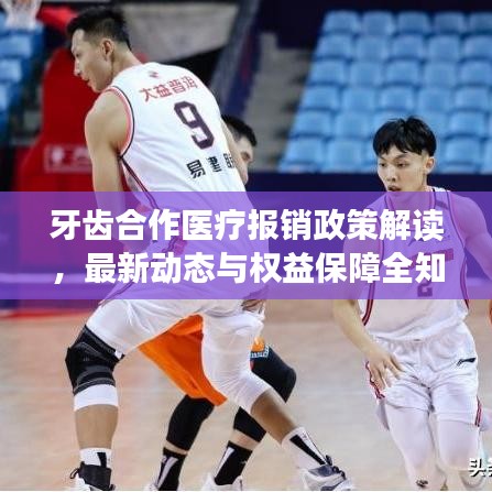 牙齿合作医疗报销政策解读，最新动态与权益保障全知道