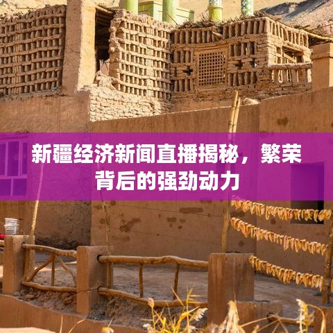 新疆经济新闻直播揭秘，繁荣背后的强劲动力