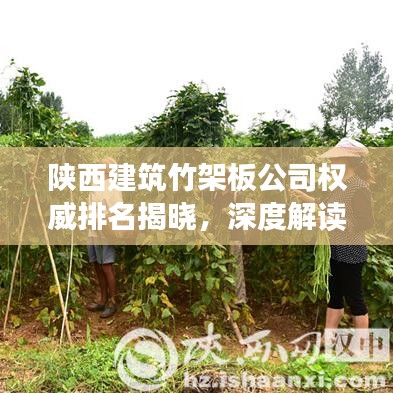 陕西建筑竹架板公司权威排名揭晓，深度解读行业格局