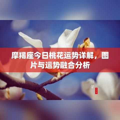 摩羯座今日桃花运势详解，图片与运势融合分析
