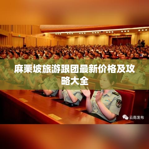 麻栗坡旅游跟团最新价格及攻略大全