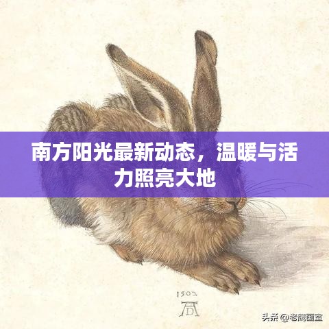 南方阳光最新动态，温暖与活力照亮大地
