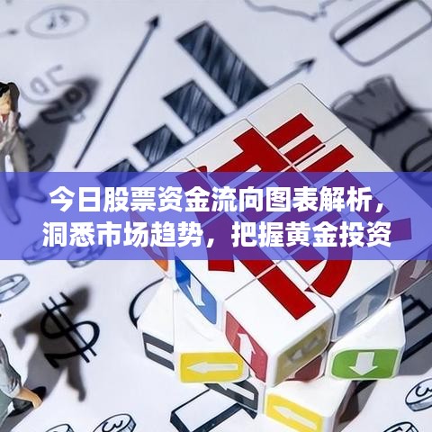 今日股票资金流向图表解析，洞悉市场趋势，把握黄金投资机会！