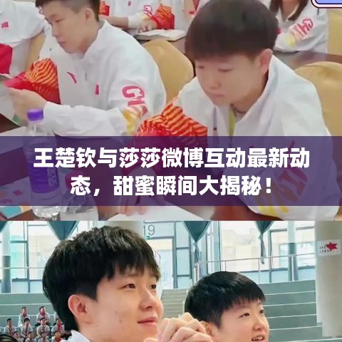 王楚钦与莎莎微博互动最新动态，甜蜜瞬间大揭秘！