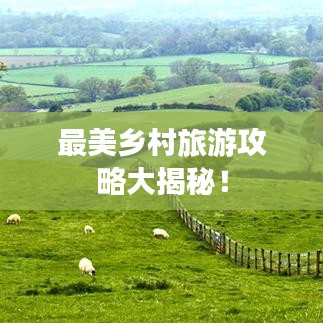 最美乡村旅游攻略大揭秘！