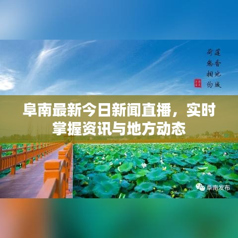 阜南最新今日新闻直播，实时掌握资讯与地方动态