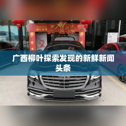 广西柳叶探索发现的新鲜新闻头条