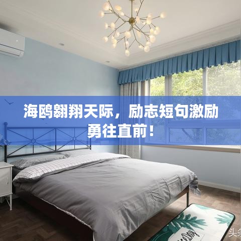 海鸥翱翔天际，励志短句激励勇往直前！