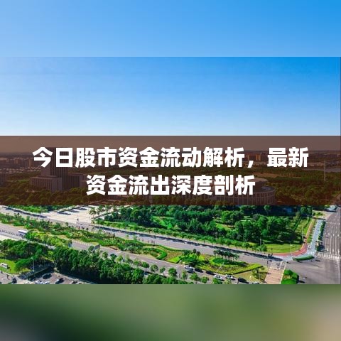 今日股市资金流动解析，最新资金流出深度剖析