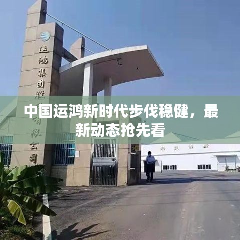 中国运鸿新时代步伐稳健，最新动态抢先看