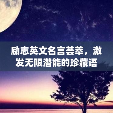 励志英文名言荟萃，激发无限潜能的珍藏语录