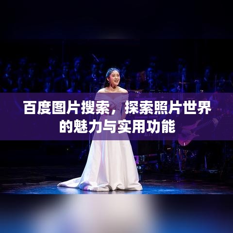 百度图片搜索，探索照片世界的魅力与实用功能