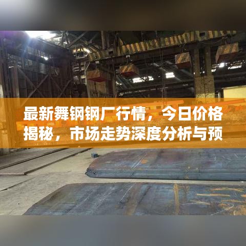 最新舞钢钢厂行情，今日价格揭秘，市场走势深度分析与预测