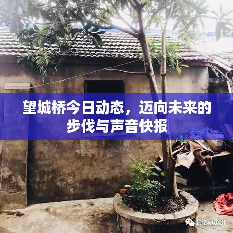 望城桥今日动态，迈向未来的步伐与声音快报
