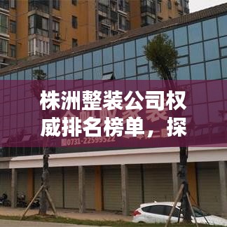 株洲整装公司权威排名榜单，探寻行业领军者