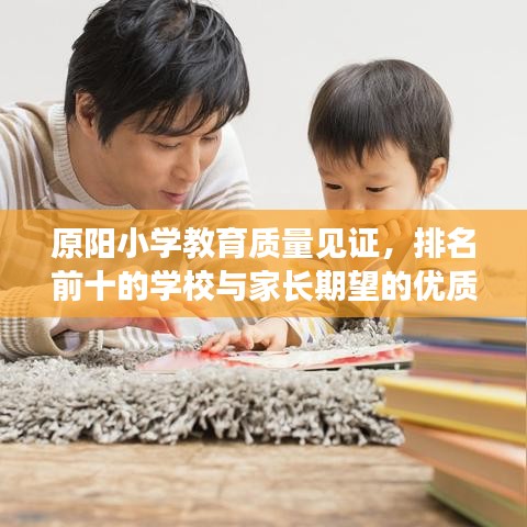原阳小学教育质量见证，排名前十的学校与家长期望的优质教育