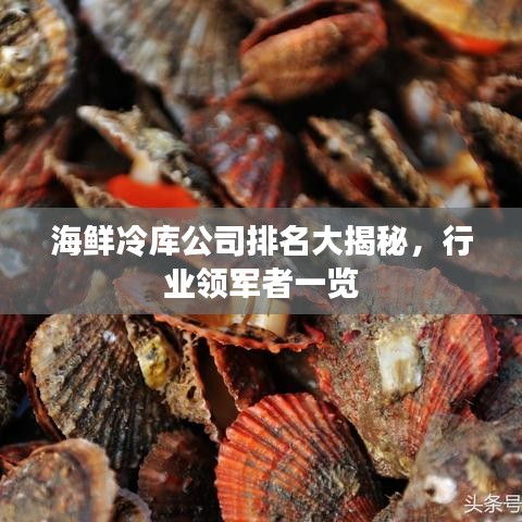 海鲜冷库公司排名大揭秘，行业领军者一览