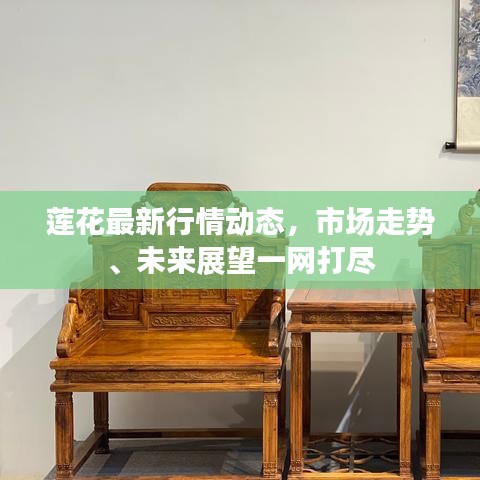 莲花最新行情动态，市场走势、未来展望一网打尽