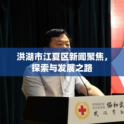 洪湖市江夏区新闻聚焦，探索与发展之路