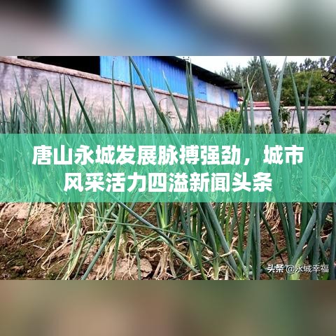 唐山永城发展脉搏强劲，城市风采活力四溢新闻头条