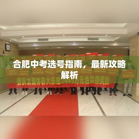 合肥中考选号指南，最新攻略解析