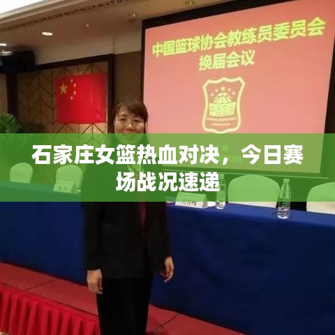 石家庄女篮热血对决，今日赛场战况速递