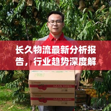 长久物流最新分析报告，行业趋势深度解读与前景展望